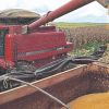 Lanzan gran acuerdo para el desarrollo integral del campo