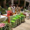 La medicina natural impulsa la economía de cientos de familias en Tarija
