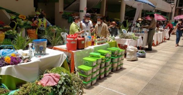 La medicina natural impulsa la economía de cientos de familias en Tarija