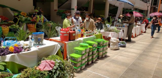 La medicina natural impulsa la economía de cientos de familias en Tarija
