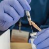 ¿Hay personas que por su raza sean inmunes al coronavirus y no necesiten vacunarse?
