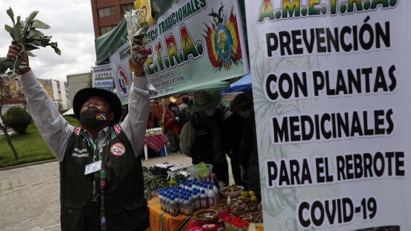 Bolivia impulsa la medicina tradicional contra COVID-19 -Tribune en Español