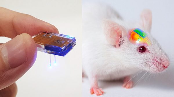 Ponen un implante controlado por un ‘smartphone’ en el cerebro de ratones, les inyectan cocaína y logran…