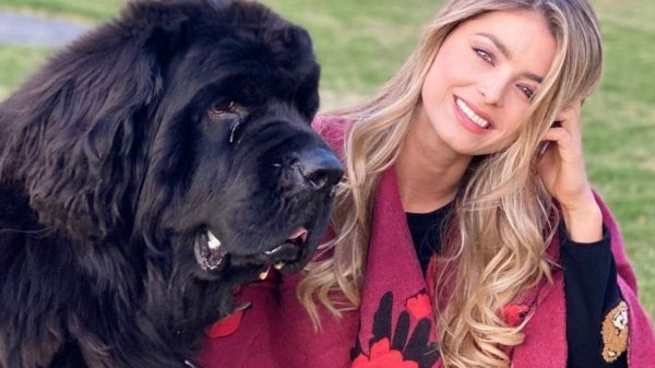 Cristina Hurtado aclaró por qué la mordió su perro luego de que lo tildaran de “peligroso”
