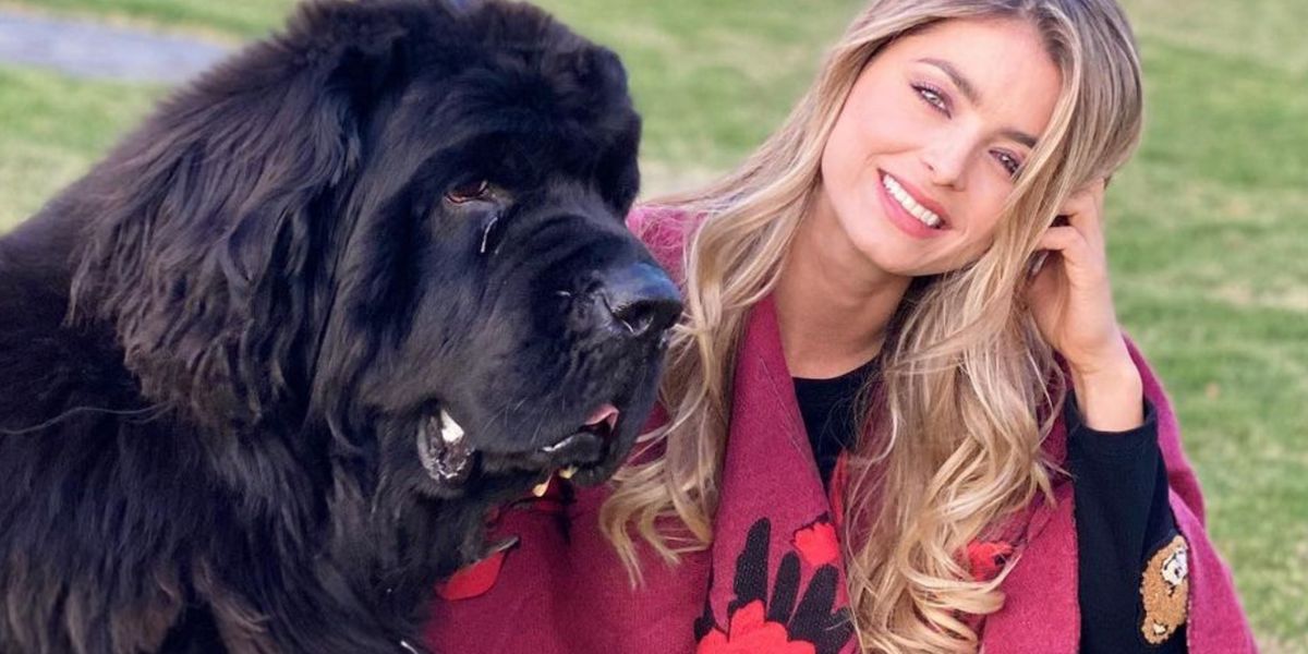 Cristina Hurtado aclaró por qué la mordió su perro luego de que lo tildaran de “peligroso”