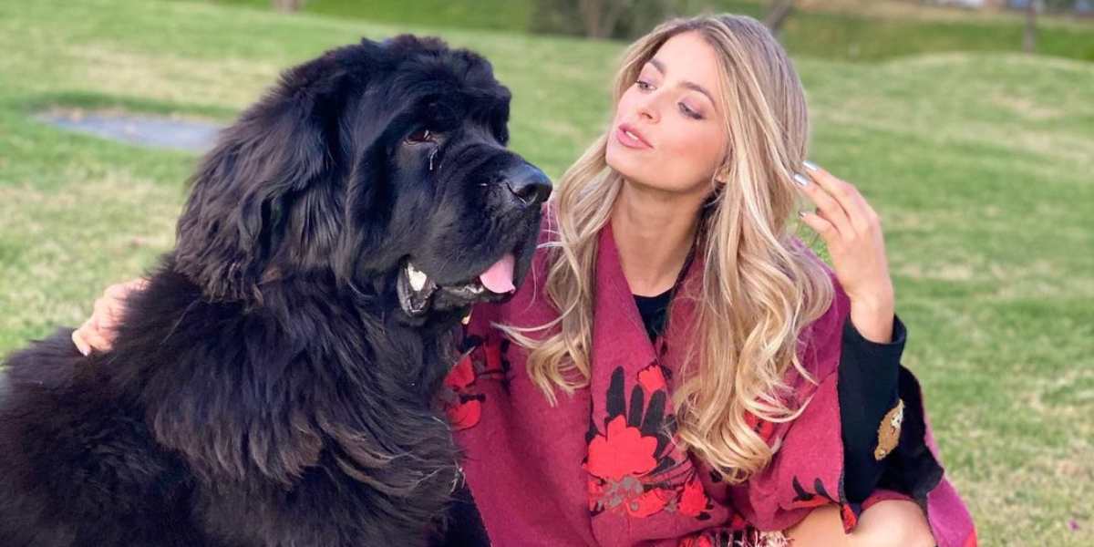 La historia detrás del accidente de Cristina Hurtado que arrugó el corazón de muchos