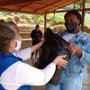 Casi 500 campesinos desplazados en Cáceres, Antioquia, se sienten en riesgo y piden más garantías de seguridad