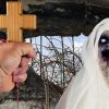 Tuiteros ‘reviven’ apocalipsis zombi (¿de broma?) incluido en cláusula de Amazon