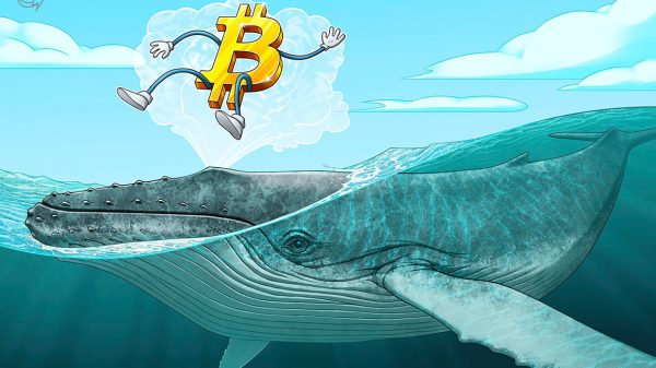 El aumento del precio de Bitcoin hasta los USD 48,000 fue impulsado exclusivamente por las ballenas