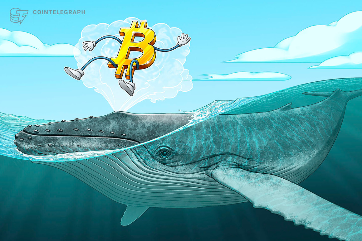 El aumento del precio de Bitcoin hasta los USD 48,000 fue impulsado exclusivamente por las ballenas