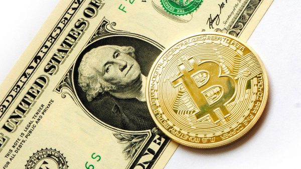 “Una moneda para gobernarlos a todos”: un nuevo tuit de Elon Musk parece respaldar al bitcóin