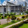 Seis grupos nacionales y tres multilatinas están interesadas en adquirir Bioenergy