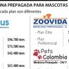 Hay planes de medicina prepagada para mascotas a partir de $30.000 pesos por mes