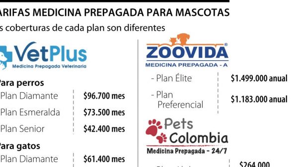 Hay planes de medicina prepagada para mascotas a partir de $30.000 pesos por mes
