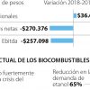 Una empresa centroamericana sería la más opcionada para quedarse con Bioenergy