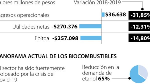 Una empresa centroamericana sería la más opcionada para quedarse con Bioenergy