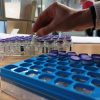 Vacunados los 14 profesionales sanitarios del Instituto de Medicina Legal de Castelló