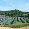 Más granjas solares para Bolívar | EL UNIVERSAL
