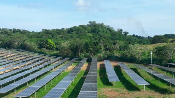 Más granjas solares para Bolívar | EL UNIVERSAL