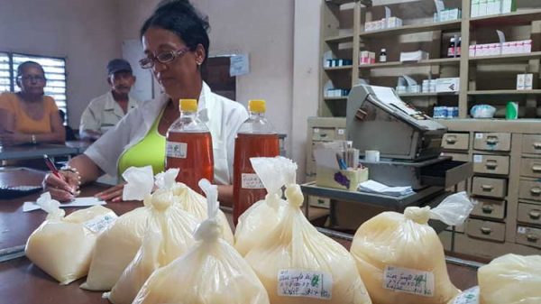 La medicina verde es una posibilidad más saludable en estos tiempos