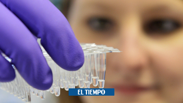Rusia detecta transmisión de gripe aviar H5N8 en humanos