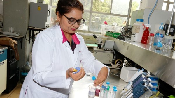 Universidades de CdMx podrán reabrir para concluir carreras de medicina: Sheinbaum