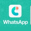 iCareFone Transferencia WhatsApp, pasa tus conversaciones desde Android a iPhone o viceversa