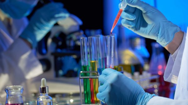 Análisis y cuota global del mercado de la medicina acuática en 2021: Avanti Feeds Ltd., Beneo GmbH, ViAqua Therapeutics Ltd y Aller Aqua A / S