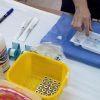 Casi el 90% de los médicos que ejercen la medicina privada en Córdoba ya han sido vacunados