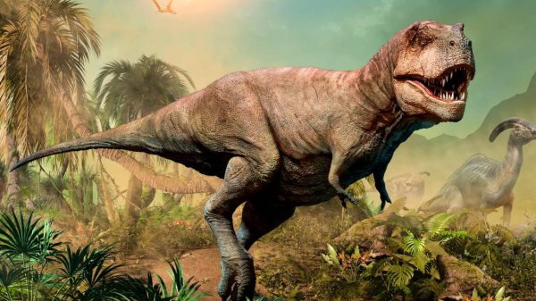 El tamaño sí importó en la historia de los dinos