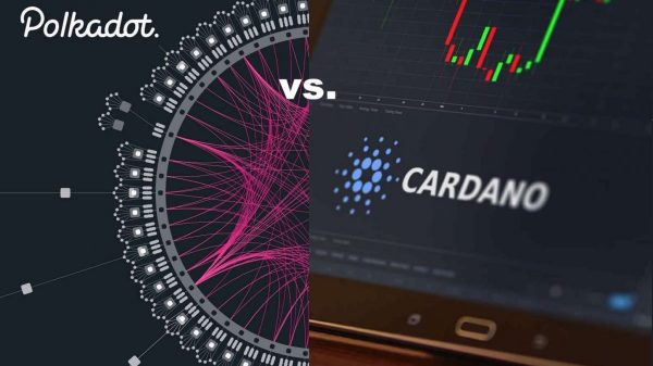 ADA y DOT reciben otro empuje de FD7 Ventures en Dubai