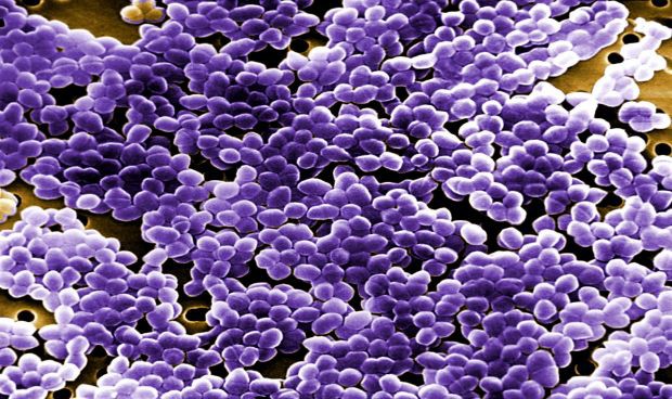 Covid: antibióticos para 3 de cada 4 ingresados