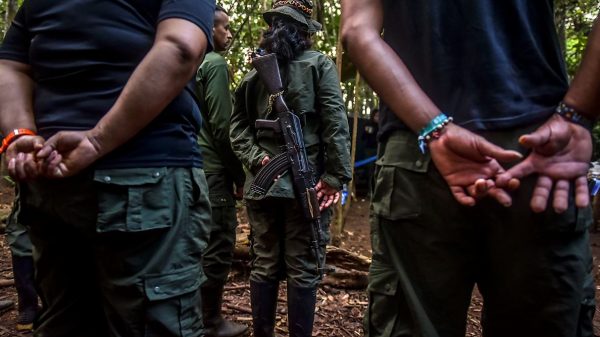 Medicina Legal recibirá los cuerpos de los 10 disidentes abatidos en Guaviare