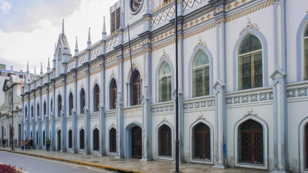 “Hay que redoblar los esfuerzos preventivos”: la posición de la Academia Nacional de Medicina ante detección de caso de la variante brasileña de covid-19 en Venezuela