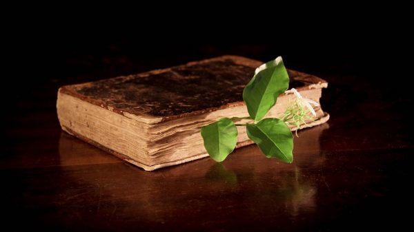 El ejercicio de la medicina: ¿Ciencia o arte? (I)