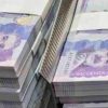Gobierno gastará 17 billones de pesos para la pandemia y 13 para reactivar la economía