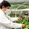 [Especial] Diseñan investigadores la medicina del futuro
