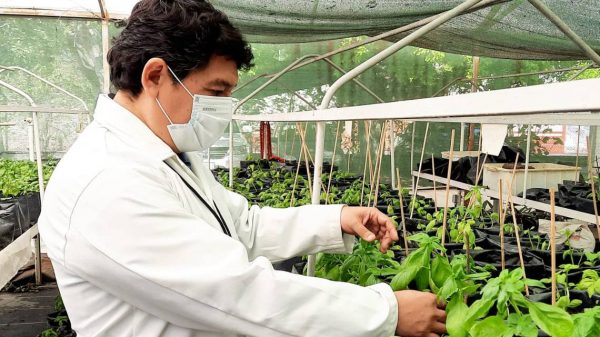 [Especial] Diseñan investigadores la medicina del futuro