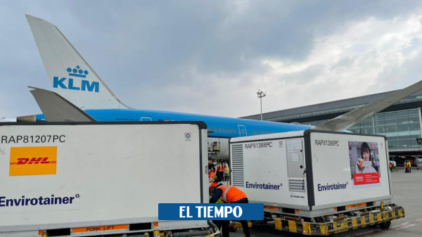Así se distribuirán 920.615 dosis de Sinovac que llegaron el sábado