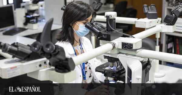 Cáncer con nombre y apellidos: la revolución de la medicina de precisión