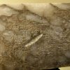 Data del 2100 a.C.: descubren en Medio Oriente el contrato laboral más antiguo del mundo