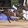 Carreras de las Estrellas: un show de nueve clásicos, cinco “enganchados” y un velocista que busca algo inédito