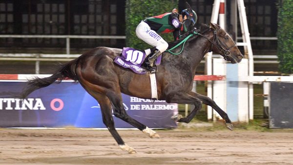 Carreras de las Estrellas: un show de nueve clásicos, cinco “enganchados” y un velocista que busca algo inédito
