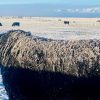 “Se nos ha mentido”: fuerte enojo de productores de la Patagonia contra el Gobierno tras una dura medida de Chile