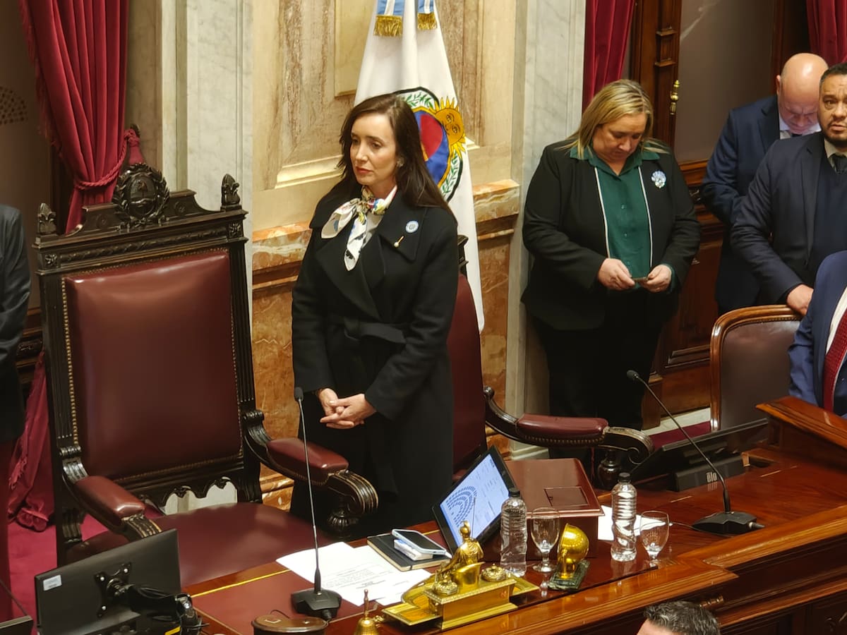 “Traidora y burra”: los influencers libertarios le salieron al cruce a Villarruel por sus crítica a Milei