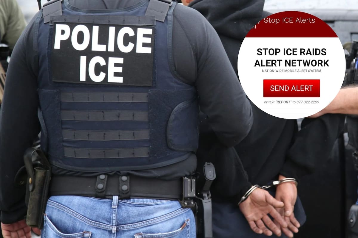El nuevo método anti-ICE: así opera la red que rastrea a agentes para proteger a migrantes durante las redadas