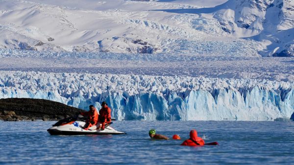 Con el agua a 2° y sin traje de neoprén, más de un centenar de atletas nadaron frente al Glaciar Perito Moreno