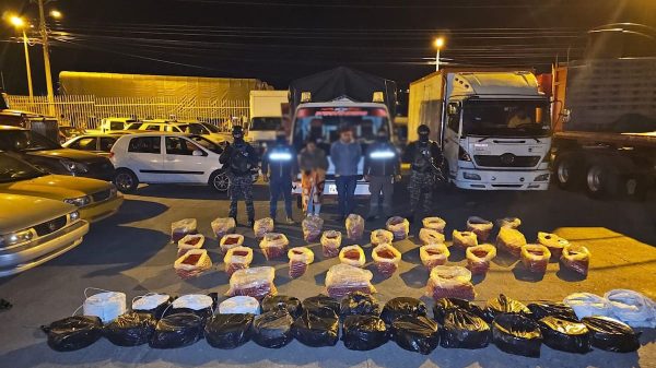 Incautan en Ecuador material explosivos para ejecutar atentados en Colombia
