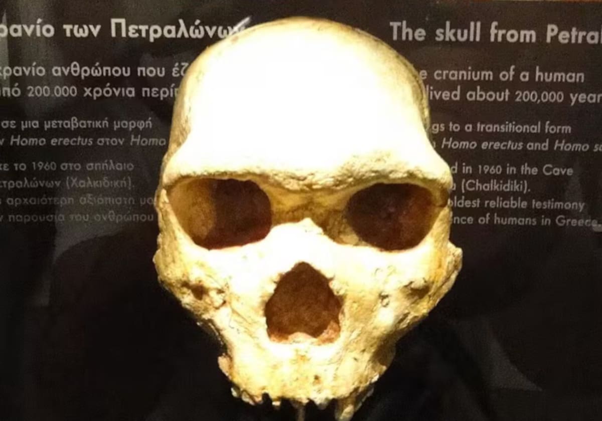 Hallaron un cráneo de hace 300 mil años: no es de un humano moderno ni de un neandertal