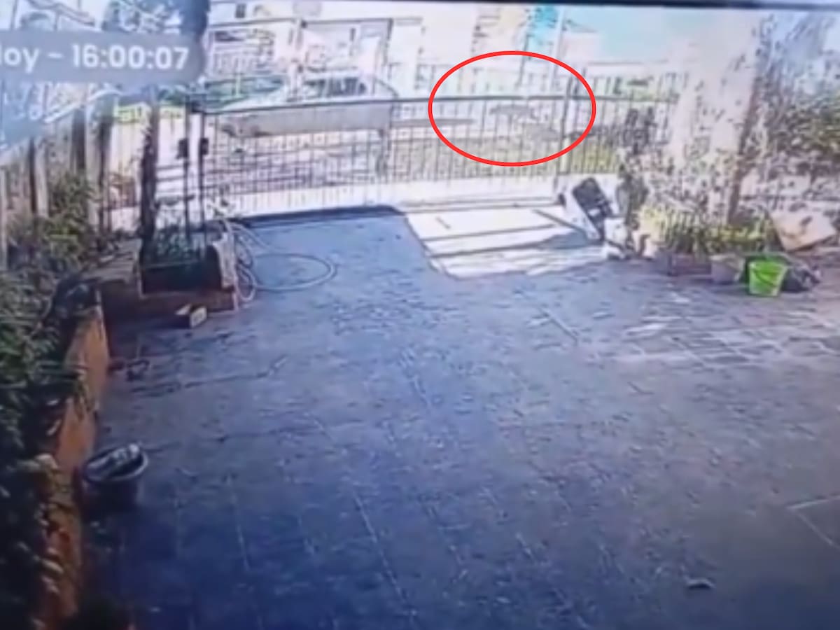 Una mujer ató a su perro a su auto y lo arrastró por varios metros: fue denunciada por vecinos